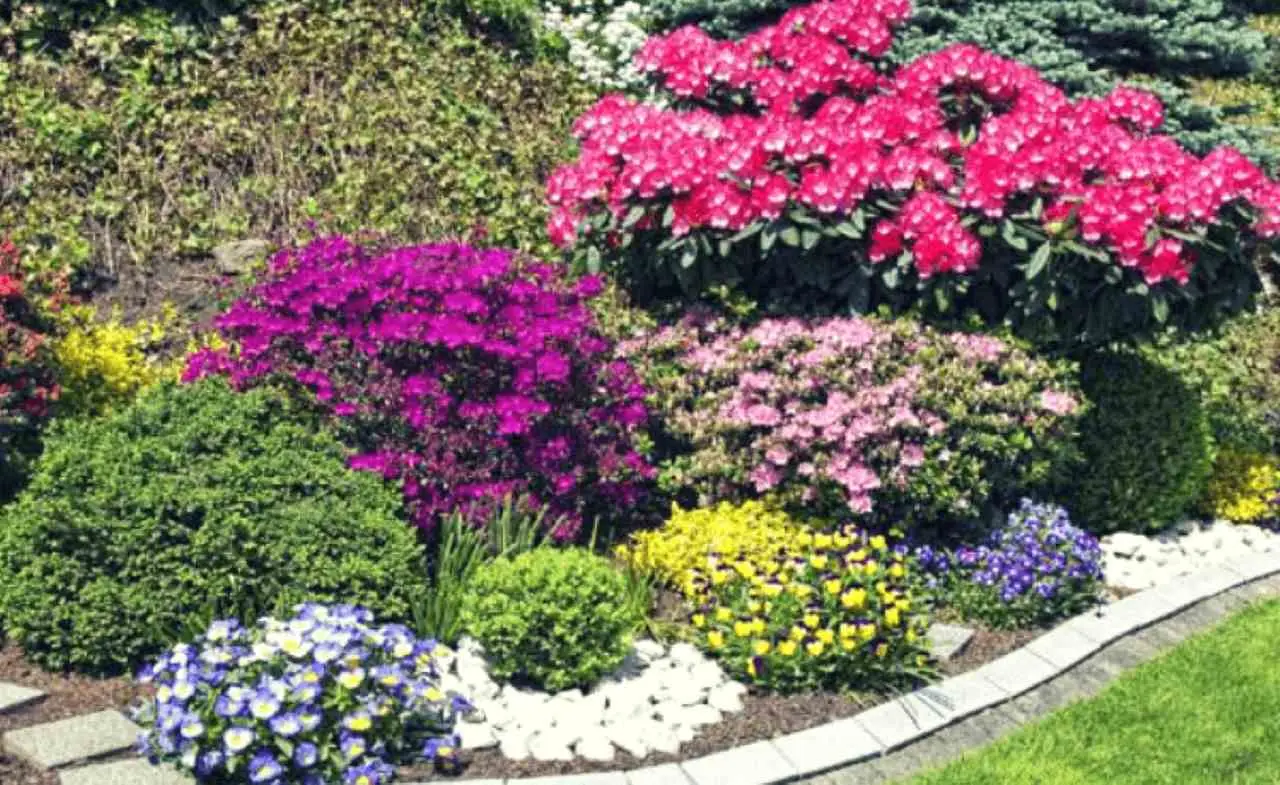 Idee creative e soluzioni pratiche: cosa mettere intorno alle piante in giardino per proteggerle e decorare gli spazi verdi