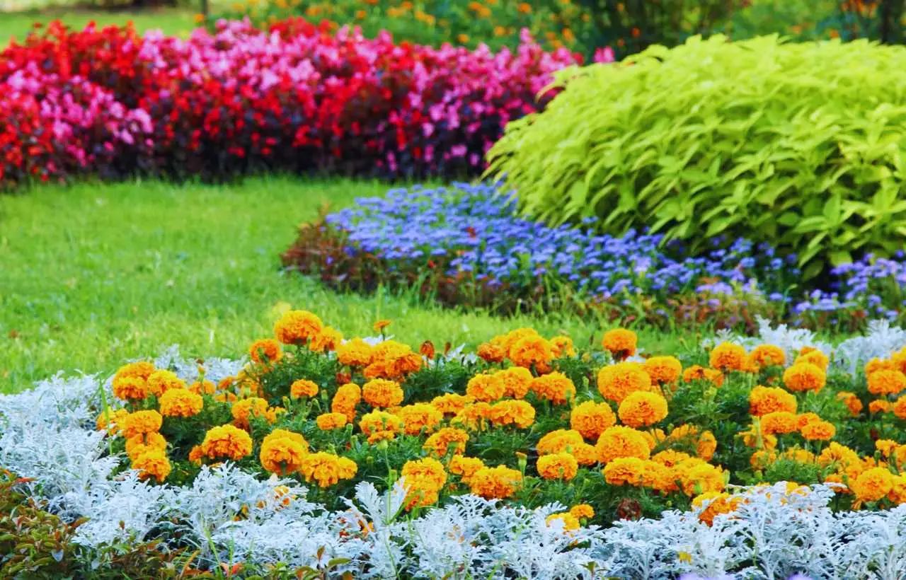 Idee creative e pratiche su cosa mettere sul terreno del giardino per renderlo bello e funzionale