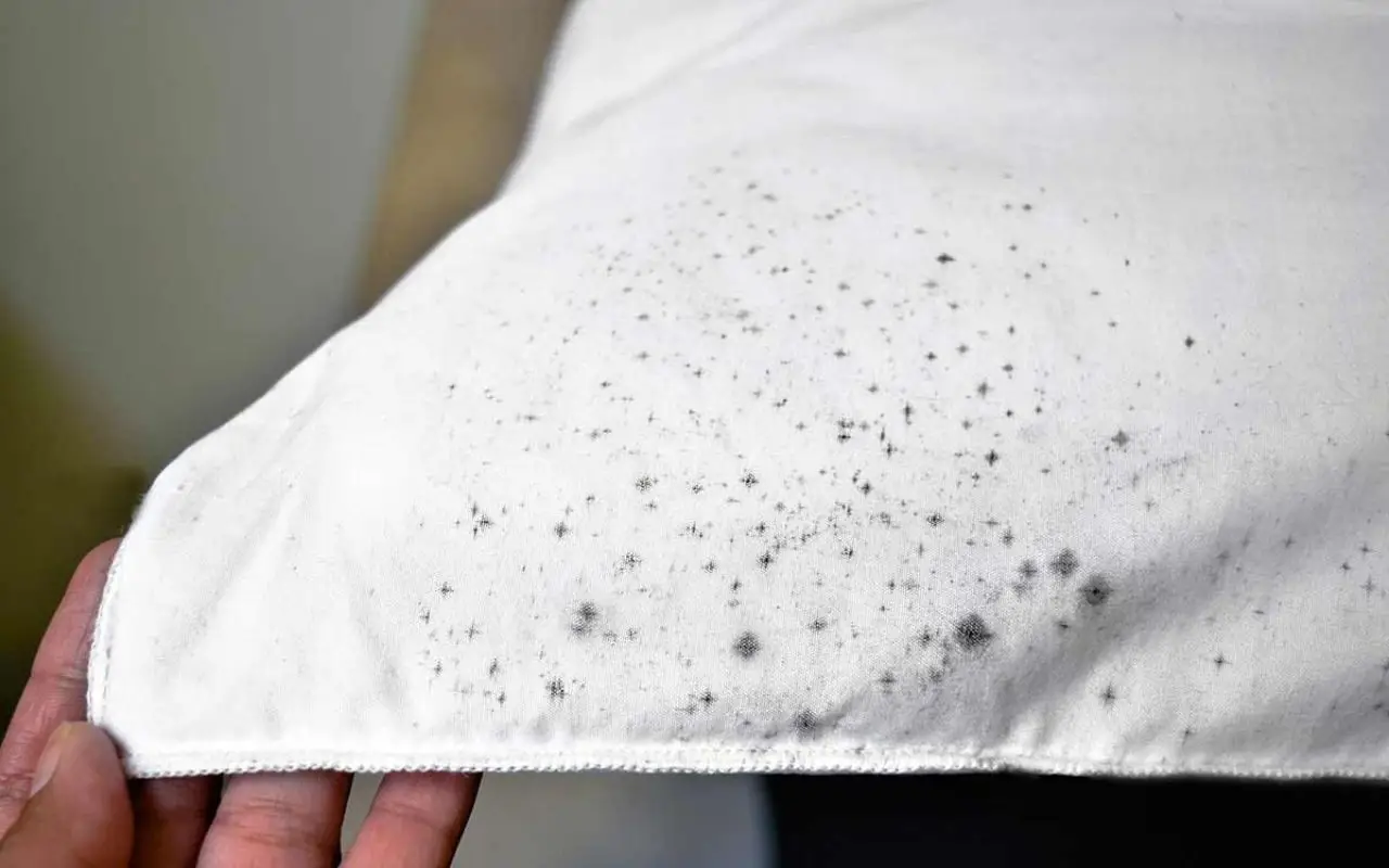 Muffa sugli asciugamani: perché si forma e come eliminarla in modo naturale ed efficace