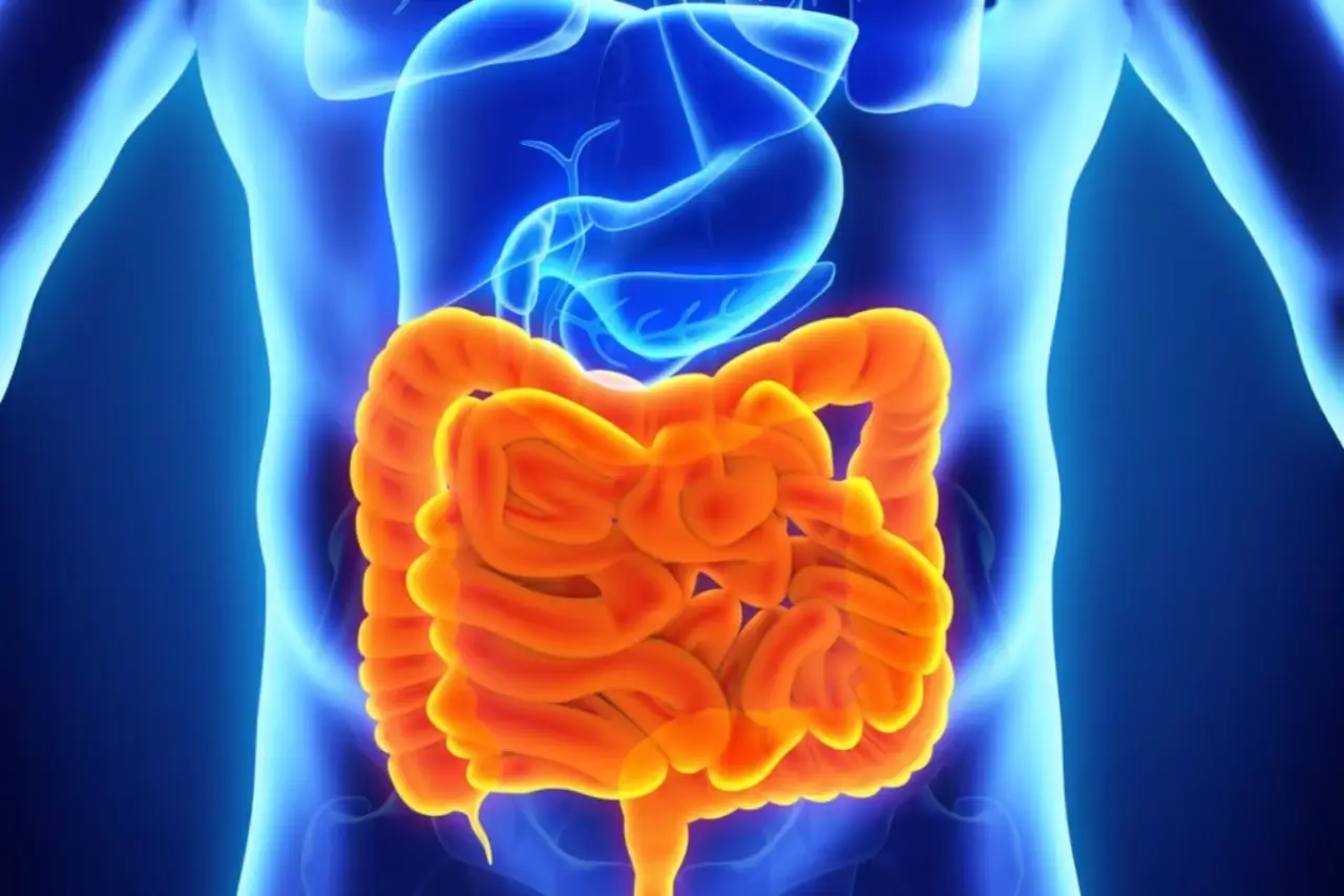 Come migliorare la salute dell’apparato digerente: strategie semplici per un benessere duraturo