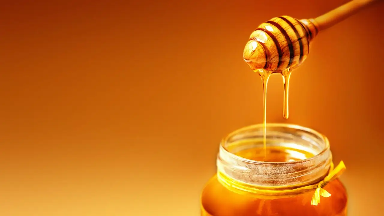 Quando non mangiare miele: ecco la risposta dell’esperto