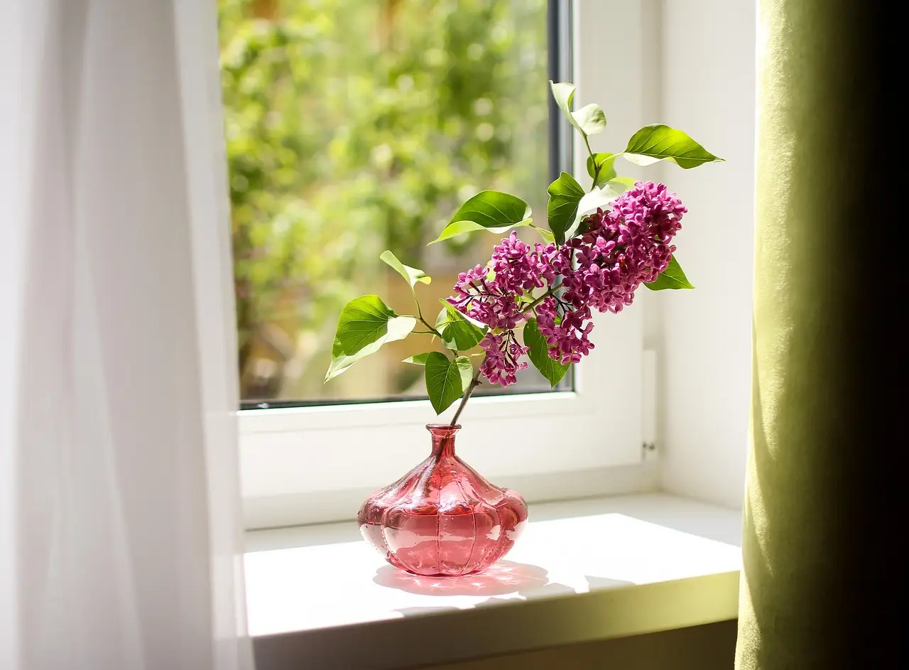 Metodo naturale per profumare un ambiente grande: cosa aggiungere a un barattolo di sale?