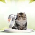 Scopri come eliminare i peli degli animali con SpazzolAmica: comfort e pulizia facile